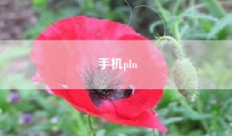 手机pln