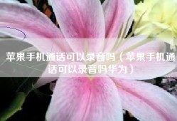 苹果手机通话可以录音吗（苹果手机通话可以录音吗华为）