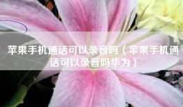 苹果手机通话可以录音吗（苹果手机通话可以录音吗华为）