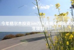 今年格尔木投资3600万元实施十项重大民生项目