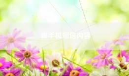 查手机短信内容