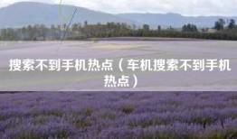 搜索不到手机热点（车机搜索不到手机热点）