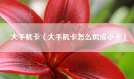 大手机卡（大手机卡怎么剪成小卡）