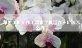苹果手机运存（苹果手机运存不足该怎么办）