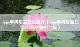 oppo手机后盖怎么打开（oppo手机后盖怎么打开更换电池板）