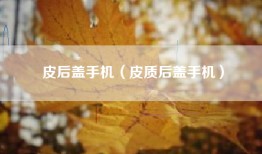 皮后盖手机（皮质后盖手机）