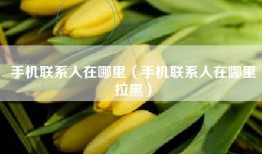 手机联系人在哪里（手机联系人在哪里拉黑）