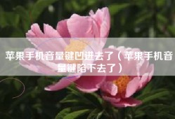 苹果手机音量键凹进去了（苹果手机音量键陷下去了）