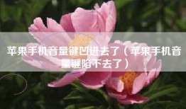 苹果手机音量键凹进去了（苹果手机音量键陷下去了）