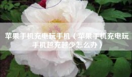苹果手机充电玩手机（苹果手机充电玩手机越充越少怎么办）