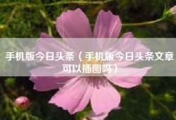 手机版今日头条（手机版今日头条文章可以插图吗）