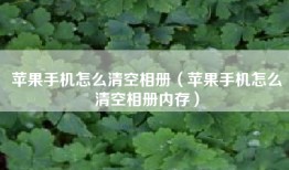苹果手机怎么清空相册（苹果手机怎么清空相册内存）