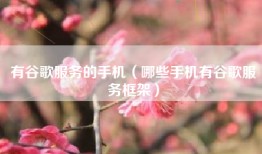 有谷歌服务的手机（哪些手机有谷歌服务框架）