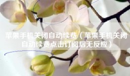 苹果手机关闭自动续费（苹果手机关闭自动续费点击订阅后无反应）