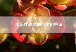 山东代表团举行小组会议