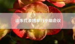 山东代表团举行小组会议