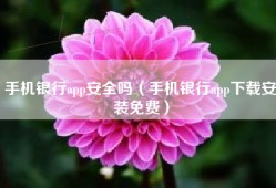 手机银行app安全吗（手机银行app下载安装免费）