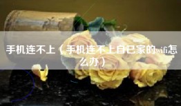 手机连不上（手机连不上自己家的wifi怎么办）
