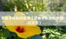 苹果手机如何使用（苹果手机如何使用nfc公交卡）