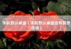 手机默认桌面（手机默认桌面没有其他选项）
