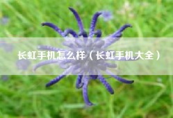 长虹手机怎么样（长虹手机大全）