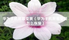 华为手机屏幕变黄（华为手机屏幕变黄怎么恢复）