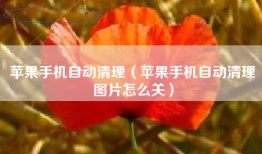 苹果手机自动清理（苹果手机自动清理图片怎么关）