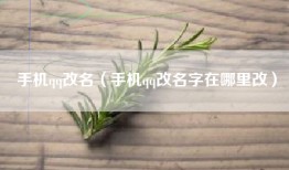 手机qq改名（手机qq改名字在哪里改）