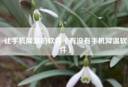 让手机降温的软件（有没有手机降温软件）