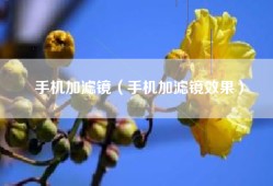 手机加滤镜（手机加滤镜效果）