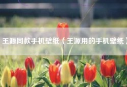 王源同款手机壁纸（王源用的手机壁纸）