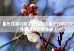 相册在手机哪个文件夹（相册在手机文件管理哪个文件夹）