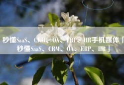 秒懂SaaS、CRM、OA、ERP、HR手机媒体「秒懂SaaS、CRM、OA、ERP、HR」