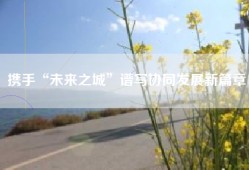 携手“未来之城”谱写协同发展新篇章