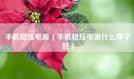 手机稳压电源（手机稳压电源什么牌子好）
