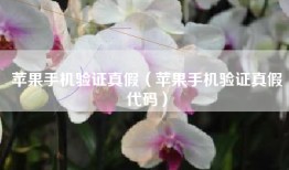 苹果手机验证真假（苹果手机验证真假代码）