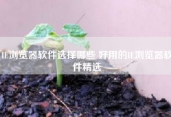IE浏览器软件选择哪些 好用的IE浏览器软件精选