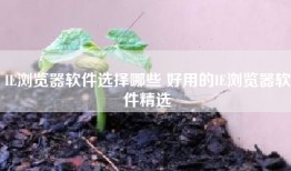 IE浏览器软件选择哪些 好用的IE浏览器软件精选