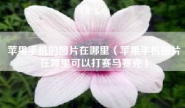 苹果手机的图片在哪里（苹果手机图片在哪里可以打赛马赛克）