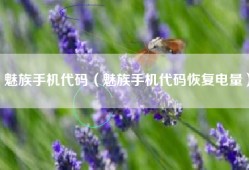 魅族手机代码（魅族手机代码恢复电量）