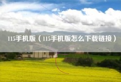 115手机版（115手机版怎么下载链接）