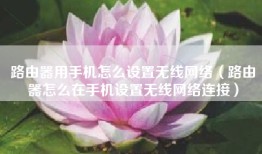 路由器用手机怎么设置无线网络（路由器怎么在手机设置无线网络连接）