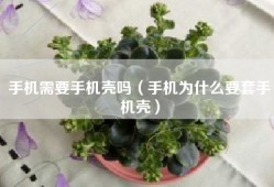 手机需要手机壳吗（手机为什么要套手机壳）