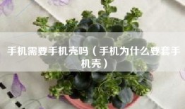 手机需要手机壳吗（手机为什么要套手机壳）