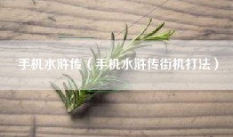手机水浒传（手机水浒传街机打法）