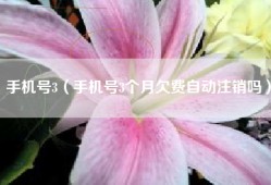 手机号3（手机号3个月欠费自动注销吗）