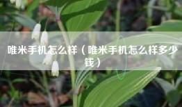 唯米手机怎么样（唯米手机怎么样多少钱）