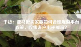 干货：亚马逊卖家要如何合理规避平台政策，收集客户电子邮箱？