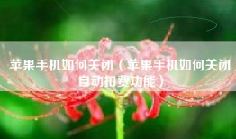 苹果手机如何关闭（苹果手机如何关闭自动扣费功能）