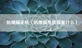 防爆膜手机（防爆膜手机膜是什么）